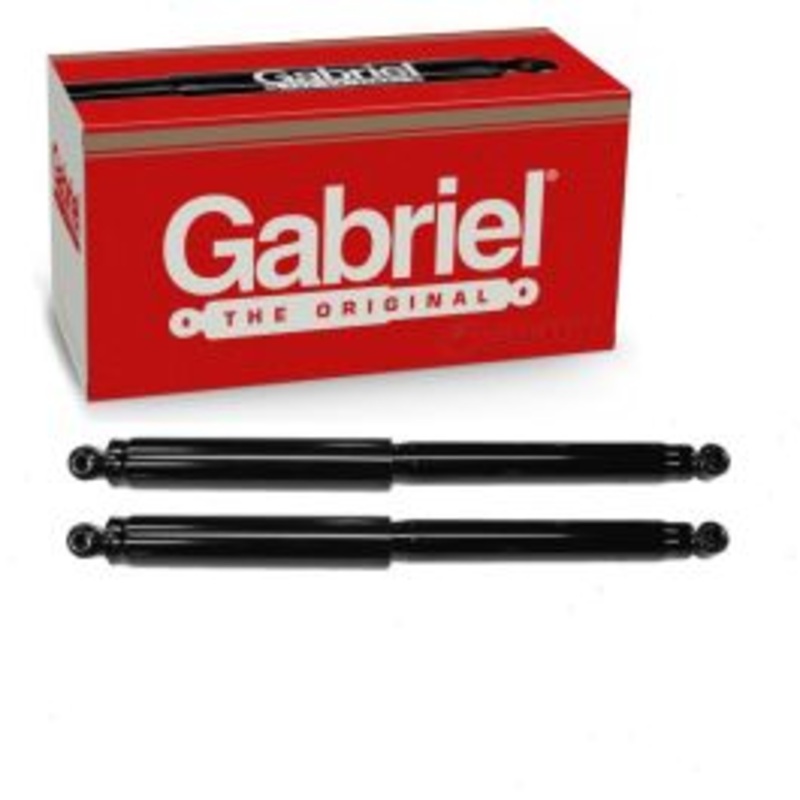 2 pc Gabriel ProGuard 61530 Shock Absorbers