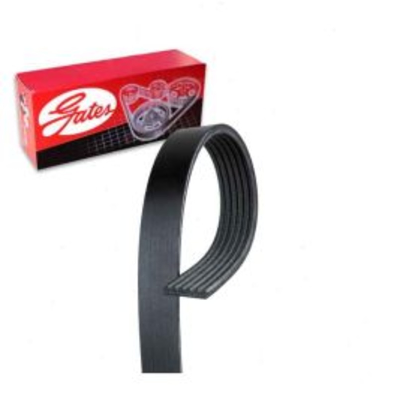 Gates Micro-V Serpentine Belt for 2013-2016 Ford Escape 1.6L L4