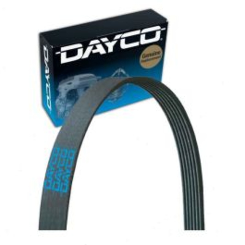 Dayco Main Drive Serpentine Belt for 2018 Ford Focus 1.0L L3