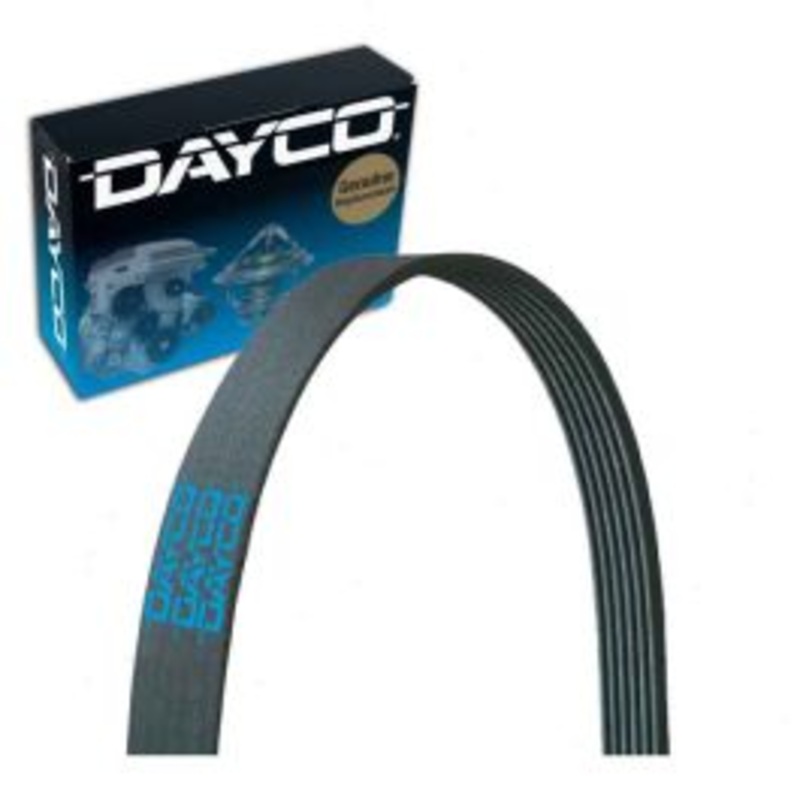 Dayco 5060860 Serpentine Belt
