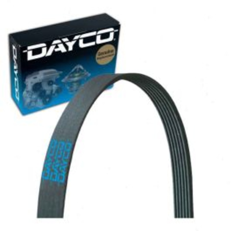 Dayco 5060695 Serpentine Belt