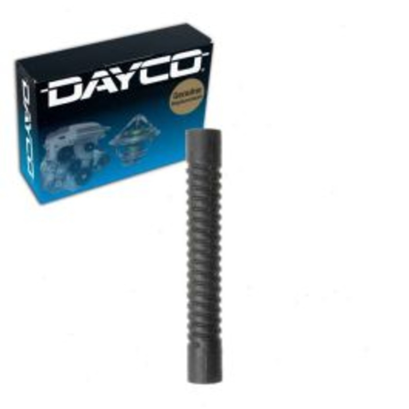 Dayco Lower Pipe To Radiator Radiator Coolant Hose for 1976 Mercedes-Benz 280S