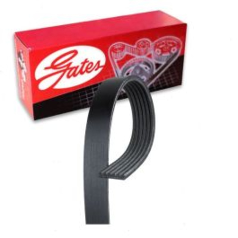 Gates Stretch Fit Micro-V AC Serpentine Belt for 2011 Ford F-150 5.0L V8