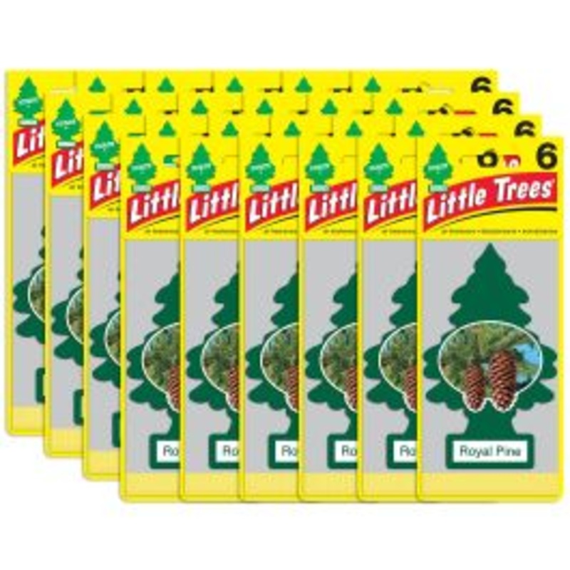 Little Trees Royal Pine Air Freshener for Car and Home - 144 pack